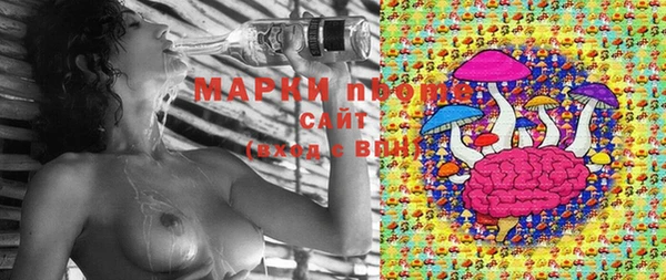 кокс Каменногорск