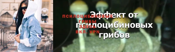 Альфа ПВП Каменка