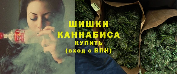 Альфа ПВП Каменка